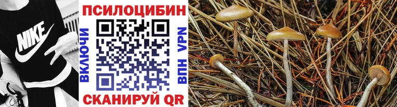 Псилоцибиновые грибы прущие грибы  Саратов 